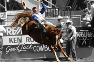 Rodeo